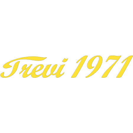 Trevi_1971